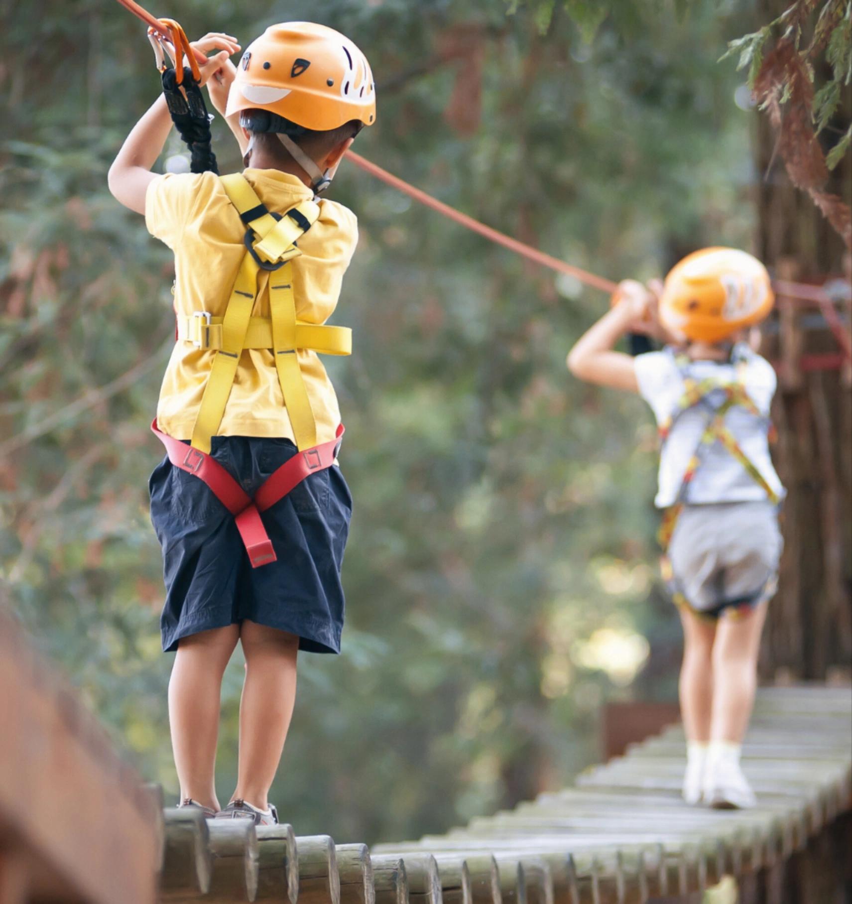 Parcours d'accrobranche à Bavella
