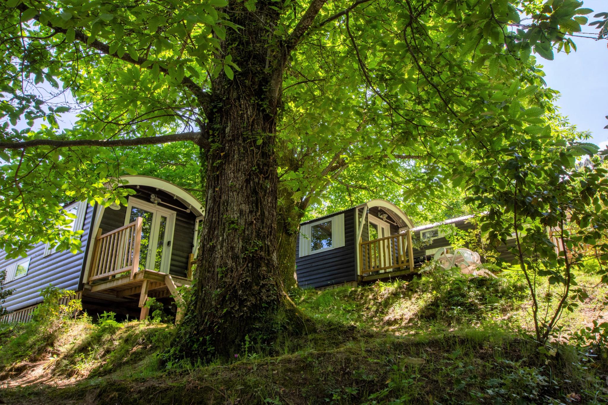 Hébergement en pleine nature en Corse-du-Sud